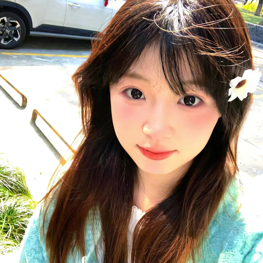 泡影昙花